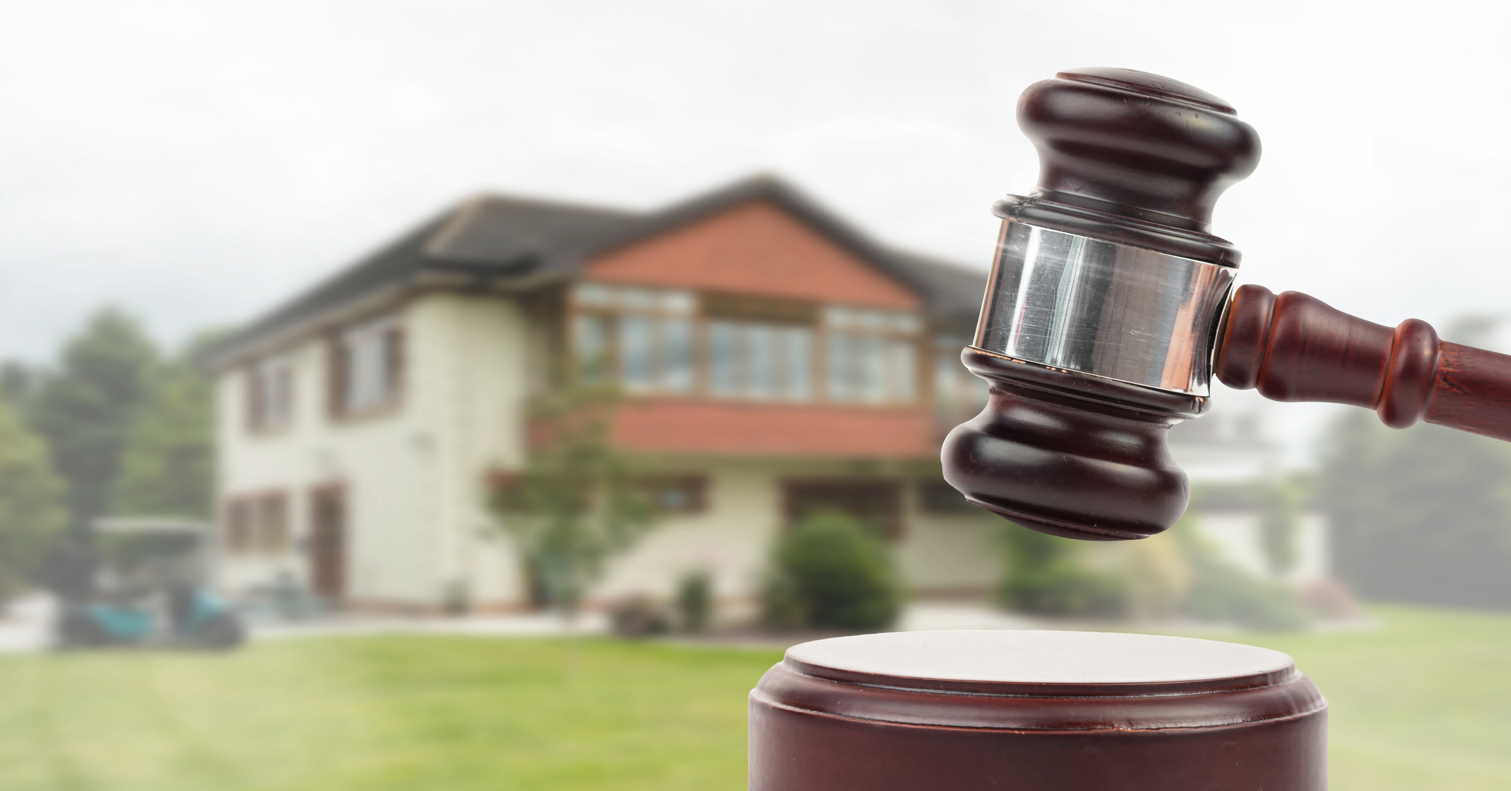 My last auction – What actually happens at auctions