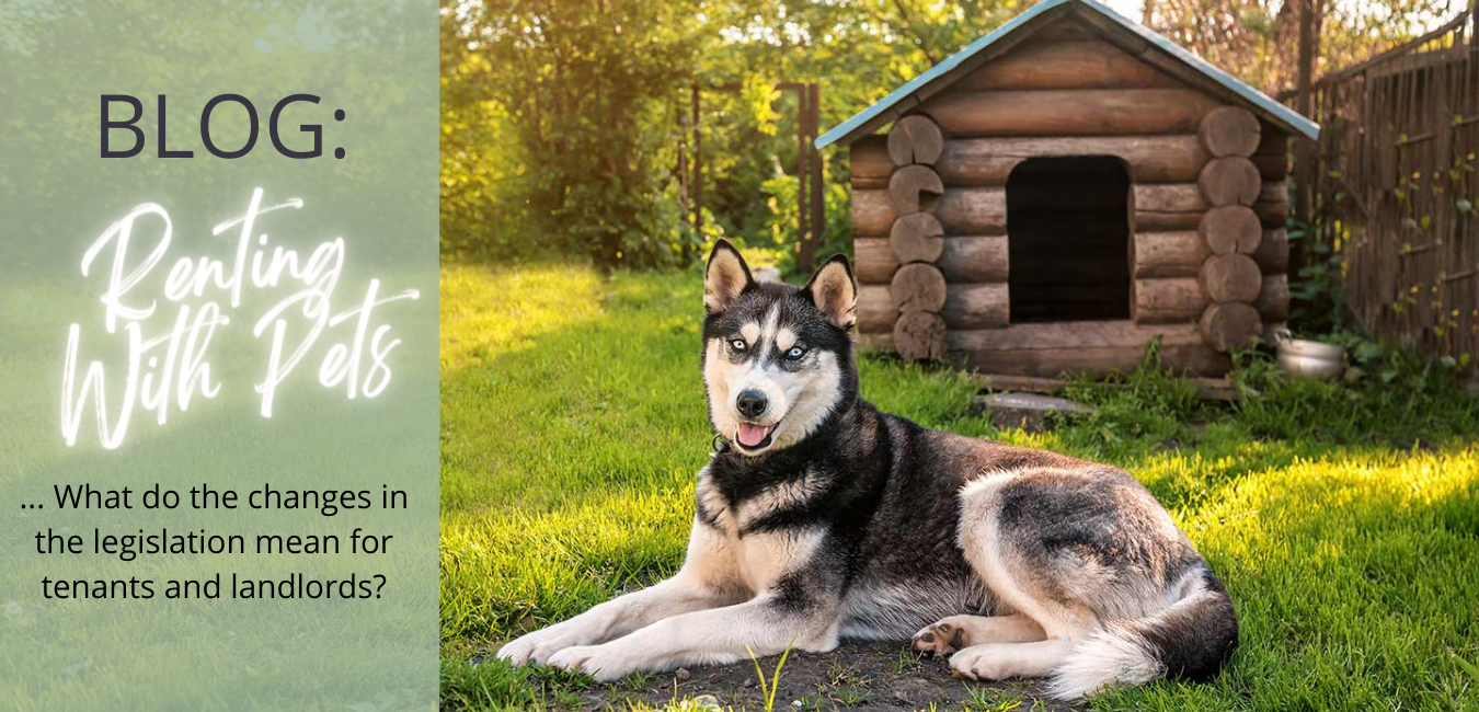 Renting With Pets; Changes to the law