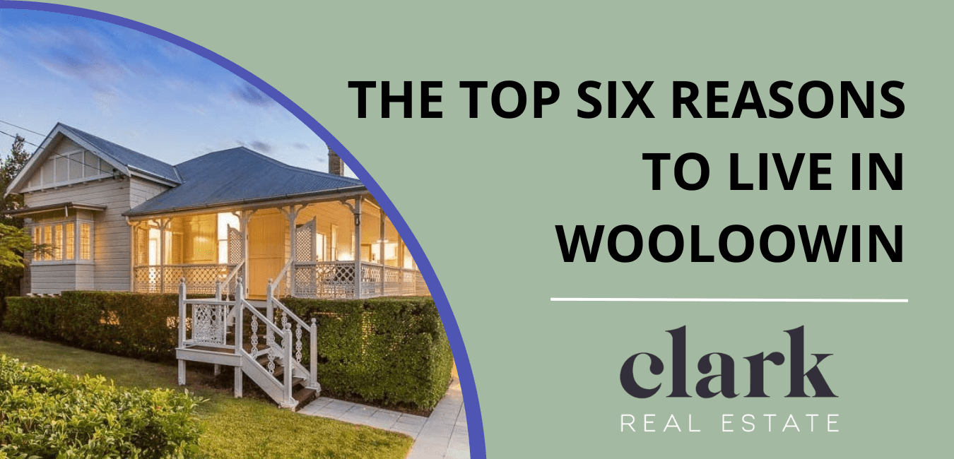Top 6 Reasons to move to Wooloowin!